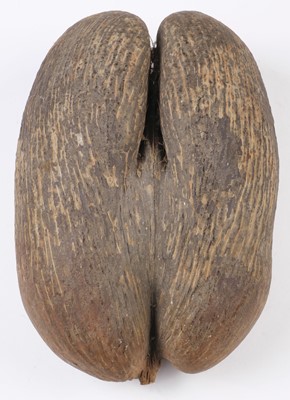 Lot 26 - Seychelles. A fine unpolished Coco de Mer seed (Lodoicea maldivica), 31 x 20 cm