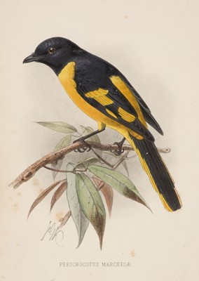 Lot 17 - Guillemard (F. H. H.) The Cruise of the Marchesa to Kamschatka, 2 volumes, 1st edition, 1886