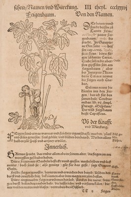 Lot 41 - Bock (Hieronymus). [Kreüter Buch, Strassburg: Josias Rihel, 1560]