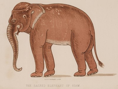 Lot 11 - Bowring (John). The Kingdom and People of Siam, 2 volumes, 1st edition, 1857