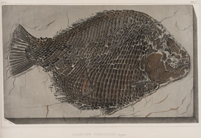 Lot 40 - Agassiz (Louis). Recherches sur les Poissons Fossiles, 1833-43