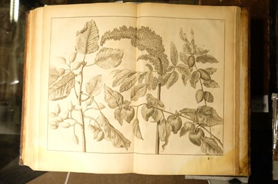 Lot 15 - Le Bruyn (Cornelius). Travels into Muscovy, 2 volumes, 1st edition in English, 1737